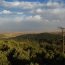 Zedern-Eichenmischwald im Mittleren Altas Marokkos. Die Atlaszeder ist durch den aktuellen Klimawandel bedroht, da sie gegenüber zunehmender Sommerhitze sehr empfindlich ist. Foto: Arbeitsgruppe Physische Geographie der Universität Leipzig