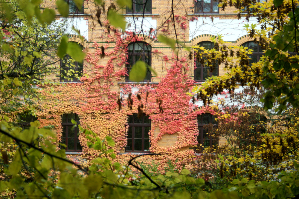 Gibt es jetzt Mehrschichtbetrieb in Leipziger Schulen? Foto: Ralf Julke