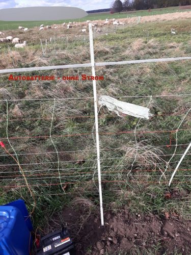 Die Bilder vor Ort würden sprechen für sich. Foto: http://wolfsschutz-deutschland.de