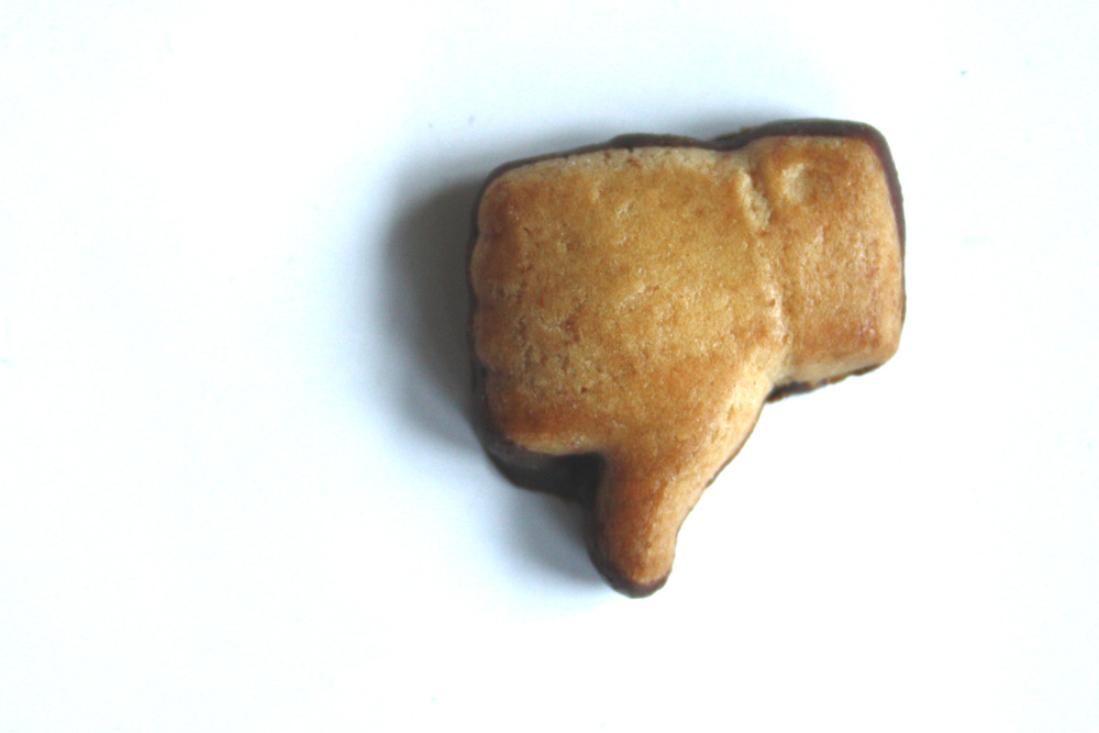 Opportunismus ist keine gute Politik. Foto: L-IZ