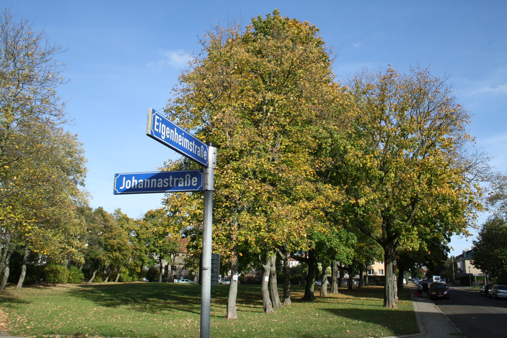 Die Grünfläche in der Eigenheimstraße. Foto: Ralf Julke