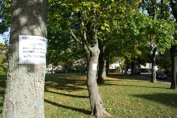 Die Grünfläche in der Eigenheimstraße in Dölitz. Foto: Ralf Julke