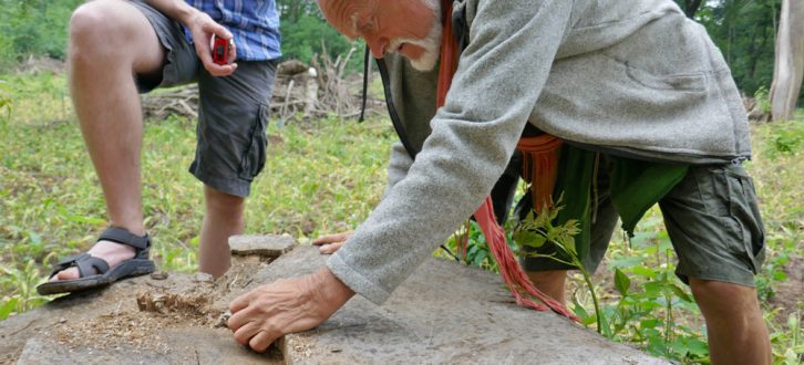 Bernd Gerken zählt die Jahresringe einer im Auwald gefällten Esche. Foto: Frank Willberg
