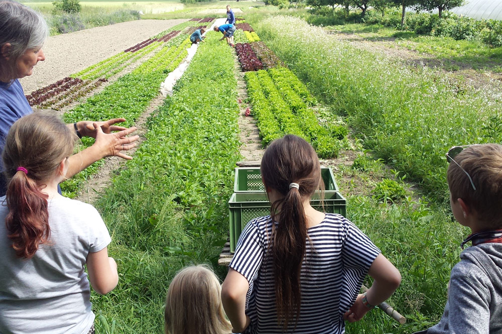 Erkundungen auf dem Linke Hof. Foto: Ökolöwe