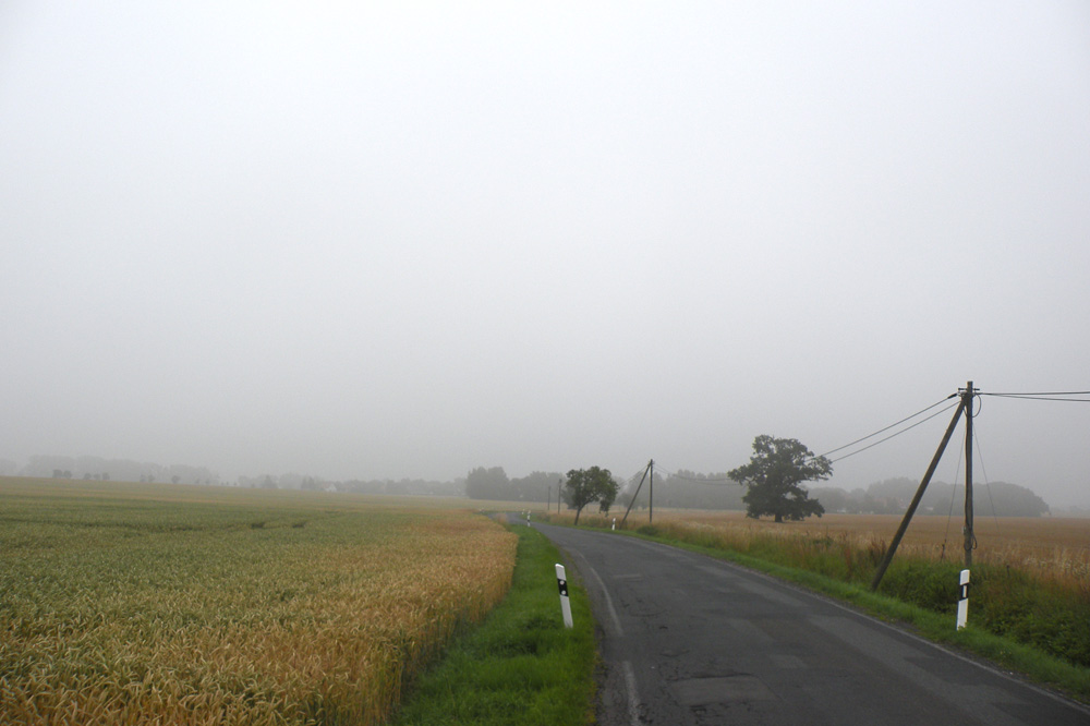 Kein Bus weit und breit ... Foto: Marko Hofmann
