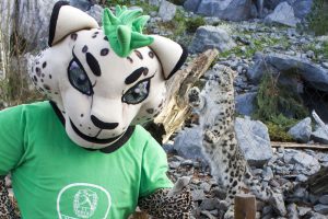 DHfK-Maskottchen BalLEo hat sich Tipps von Schneeleopard Askar geholt. Foto: Zoo Leipzig