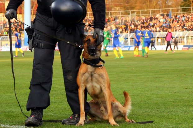 Er zumindest konnte sich raushalten und musste nicht mitspielen. Foto: Jan Kaefer