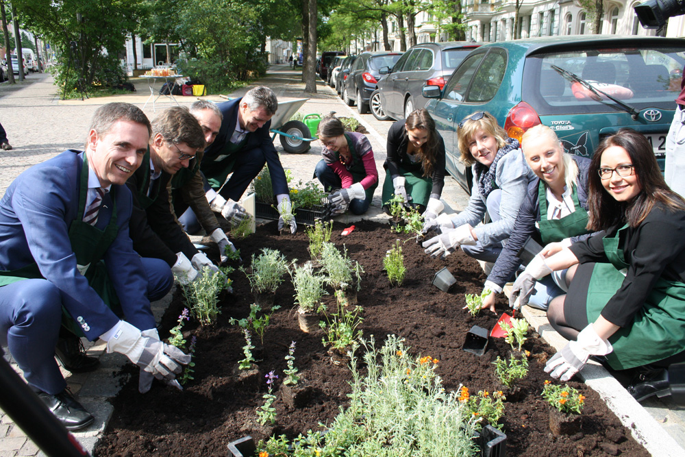 Blumenpflanzung an der umgebauten Könneritzstraße. Foto: Ralf Julke