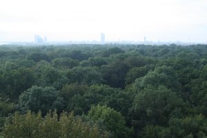 Von oben schön grün: der Leipziger Stadtwald. Foto: Ralf Julke