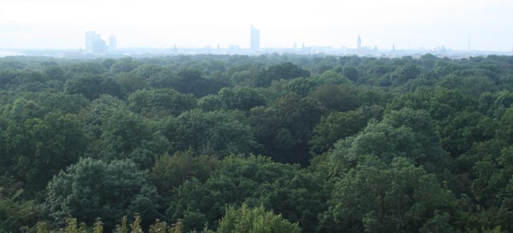 Von oben schön grün: der Leipziger Stadtwald. Foto: Ralf Julke