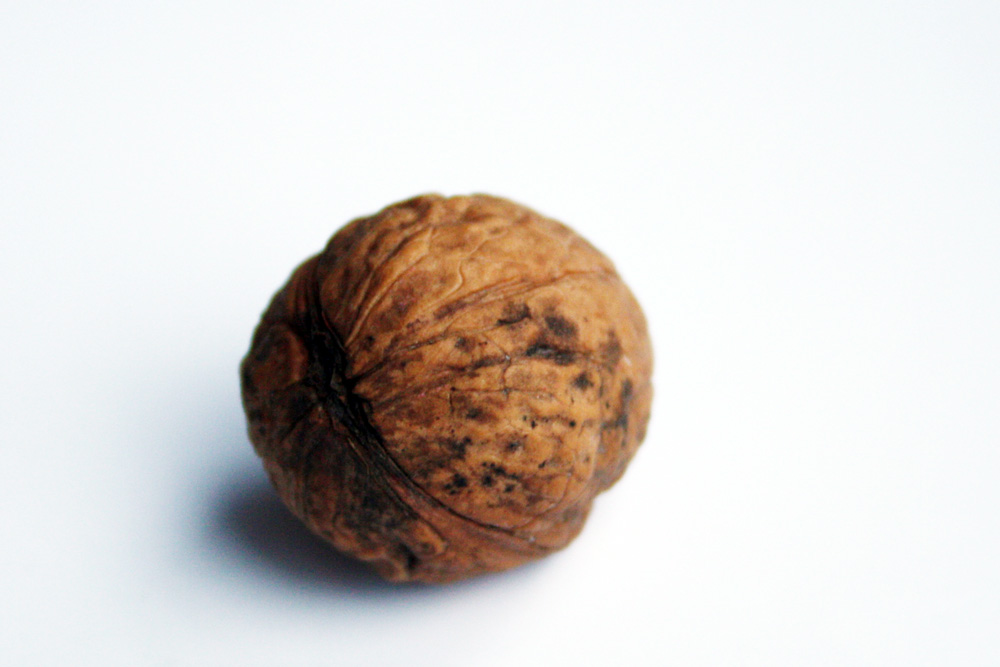 Harte Nuss AfD? Foto: Ralf Julke