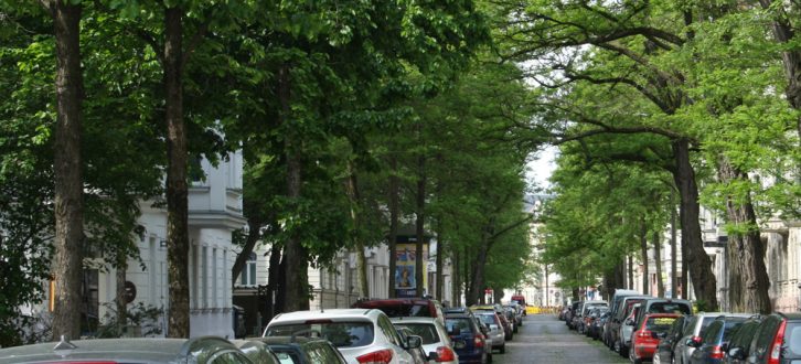 Hier ist es grün: Brockhausstraße in Schleußig. Foto: Ralf Julke
