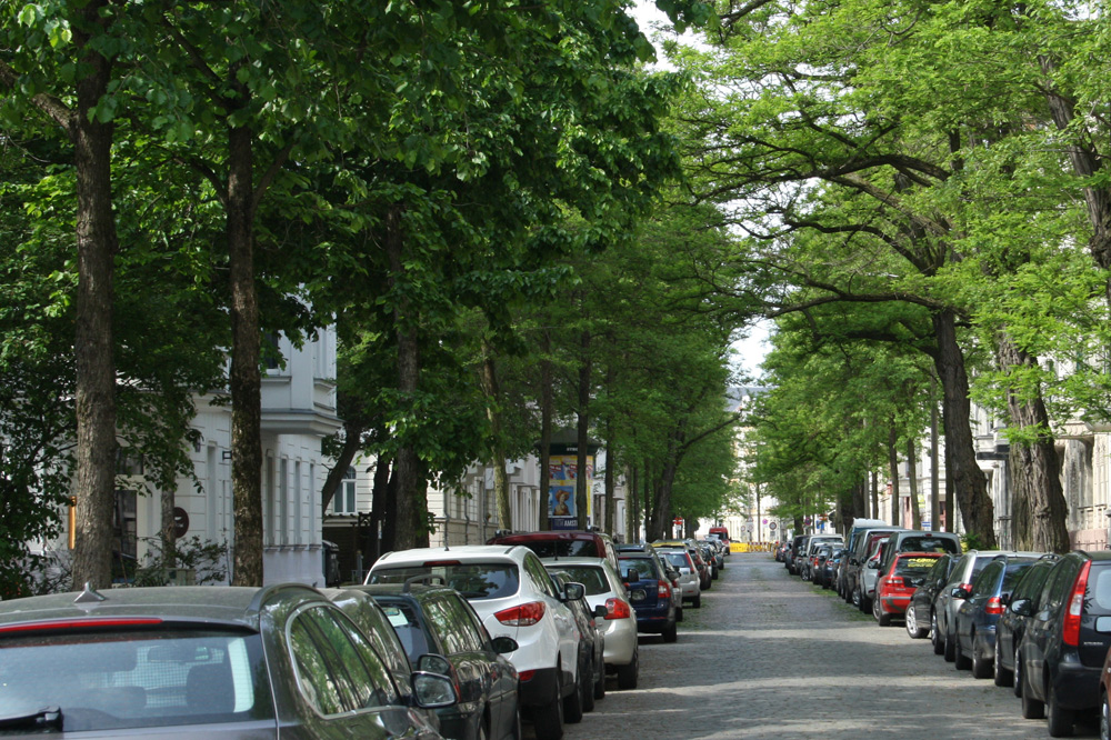 Hier ist es grün: Brockhausstraße in Schleußig. Foto: Ralf Julke