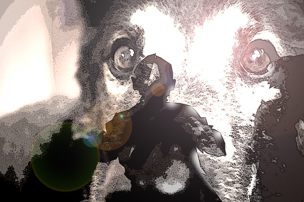 Die toten Hunde im Garten Don Leones. Grafik: L-IZ