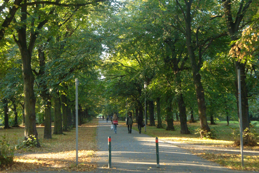Parkallee in Schönau. Foto: Gernot Borriss