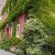 Begrünte Fassade in Leipzig. Foto: Ökolöwe