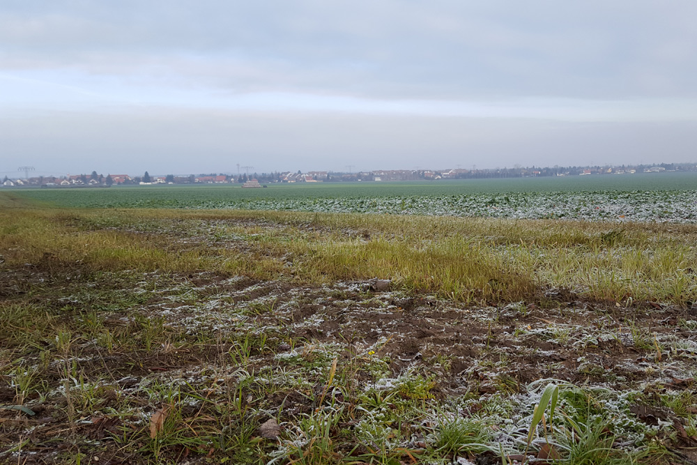Die Felder bei Rückmarsdorf. Foto: Marko Hofmann