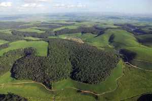 Die Luftaufnahme zeigt Waldfragmente des Brasilianischen Atlantischen Regenwaldes im Nordosten Brasiliens (Mata Atlântica), umgeben von Zuckerrohrplantagen. Foto: UFZ, Mateus Dantas de Paula
