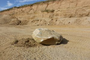 Ein Findling in der Kiesgrube Rehbach in Sachsen, der vor etwa 450.000 Jahren von Gletschern aus Skandinavien dorthin transportiert worden ist. Foto: MPI für evolutionäre Anthropologie