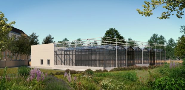 Das Forschungsgewächshaus im Botanischen Garten. Visualisierung: GEFOMA GmbH