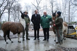 OBM Burkhard Jung und Zoodirektor Dr. Jörg Junhold beim Besuch auf der Südamerika-Baustelle. Foto: Ralf Julke