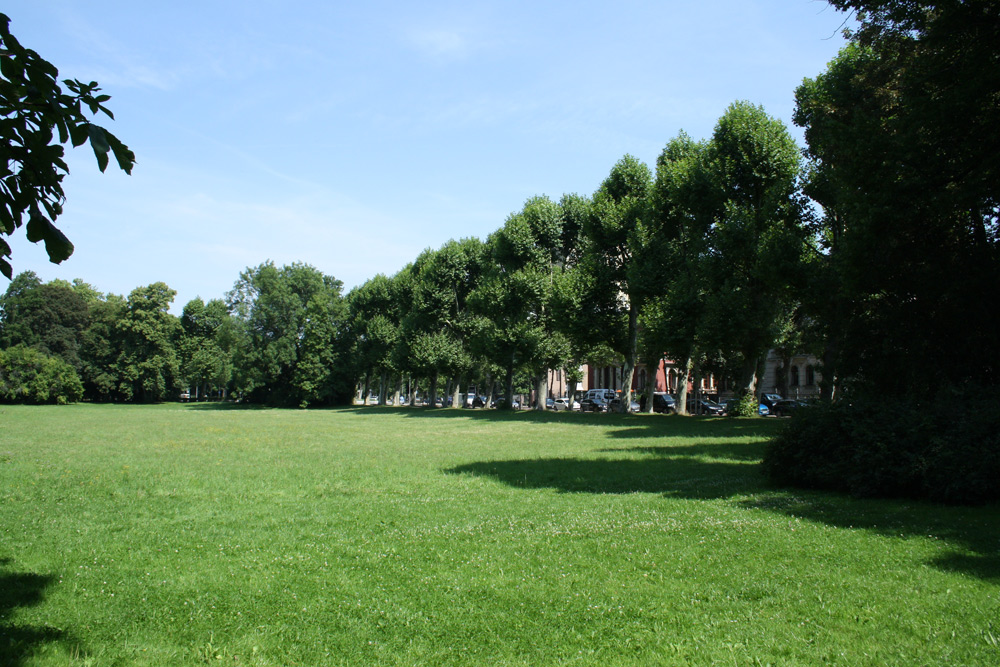 Auf dieser Wiese zirpt nichts mehr. Foto: Ralf Julke