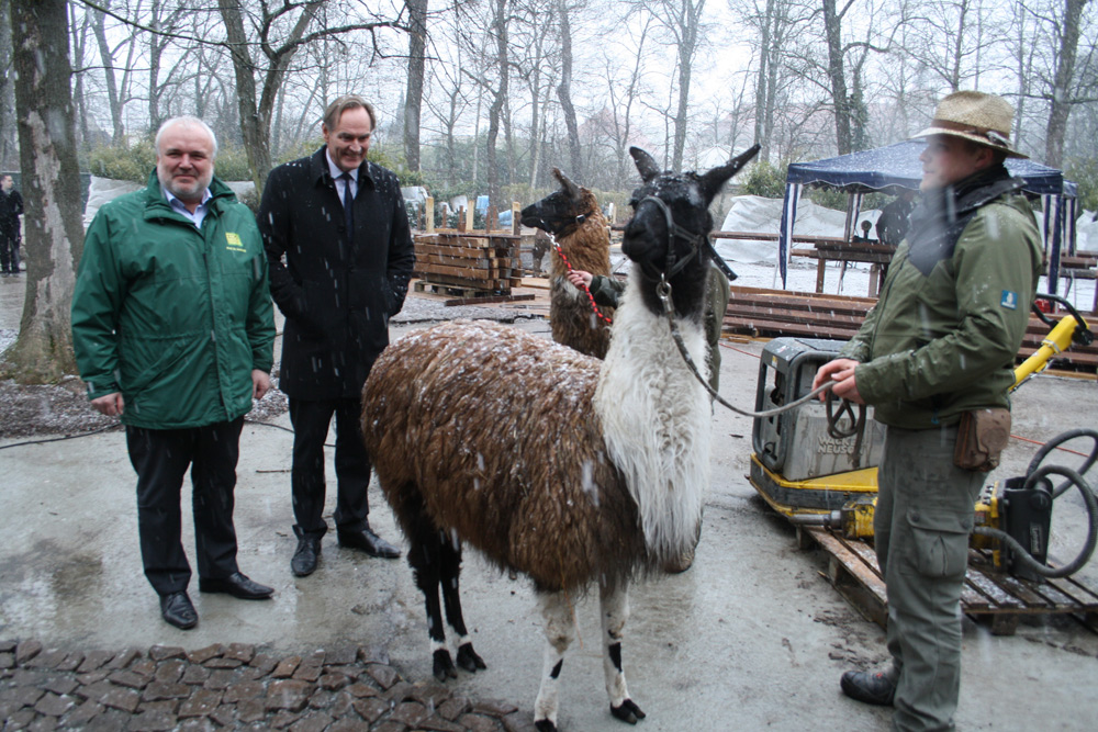 Besuch auf der Zoo-Baustelle "Südamerika 1". Foto: Ralf Julke