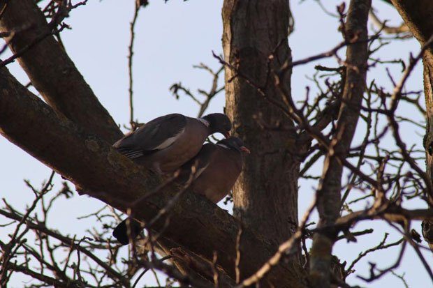 Frühlingserwachen. Foto: L-IZ.de