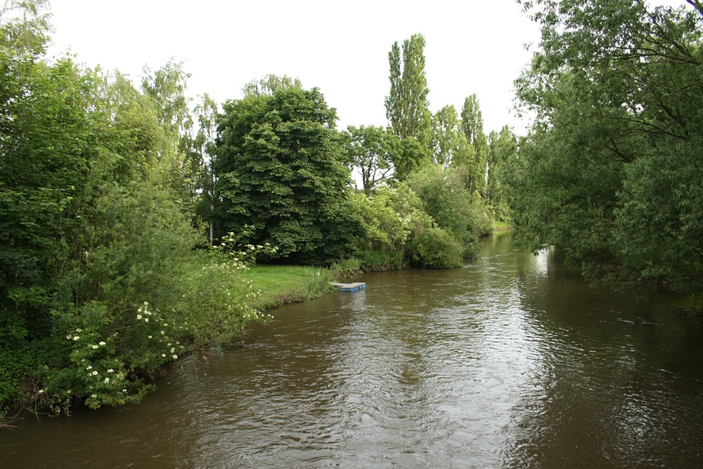 Biologischer Notfall: die untere Weiße Elster. Foto: Ralf Julke