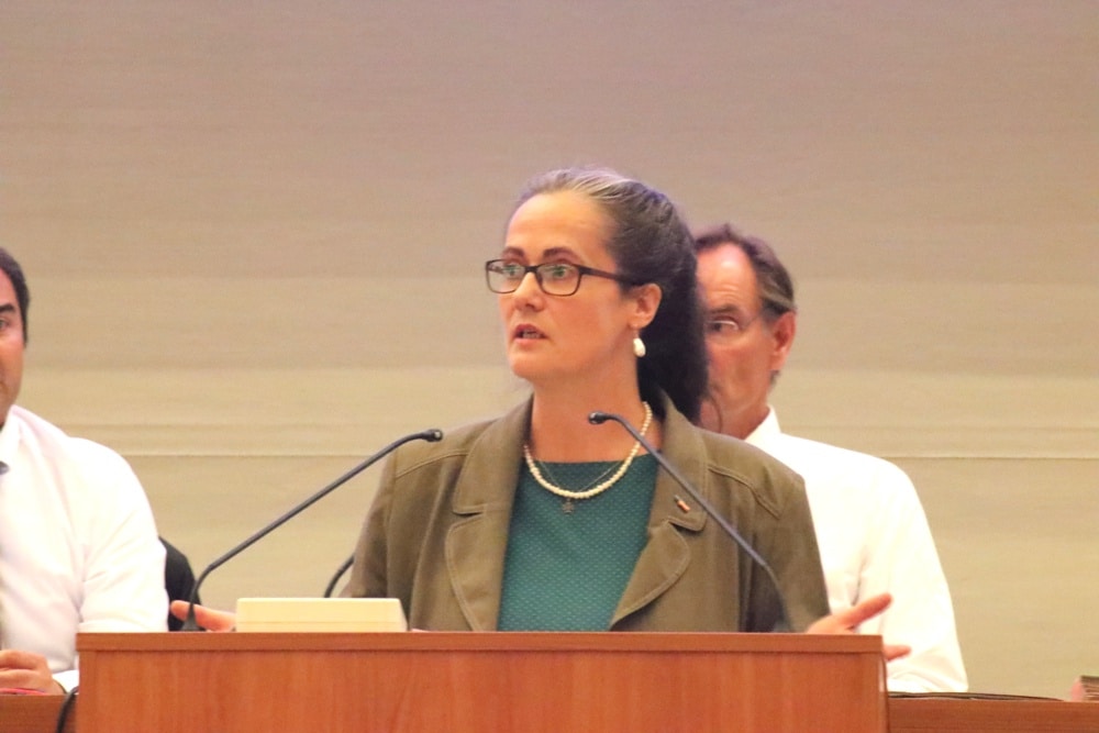 Petra Elias - Sprecherin des Stadtelternrates Leipzig dankte den Schulsozialarbeitern. Foto: L-IZ.de