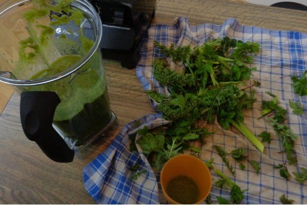 Wildkraeutersmoothie. Foto: erleb-bar