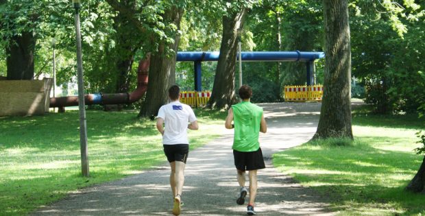 Erholen im Clara-Zetkin-Park. Foto: Ralf Julke