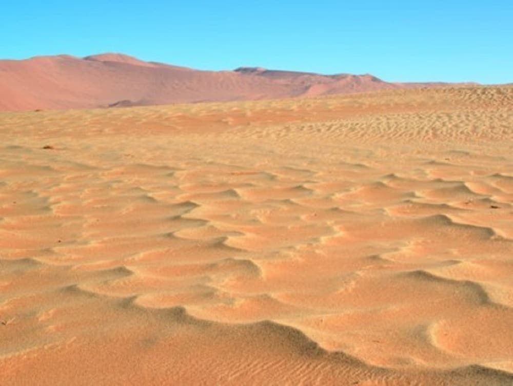 Unerwartete Verwandtschaft: Megarippel (vorne) und Sanddünen (hinten) Foto: Dr. Hezi Yizhaq