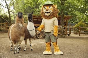 Die Lamas und Zoo-Maskottchen Tammi sind beim Kindertag dabei. Foto: Zoo Leipzig