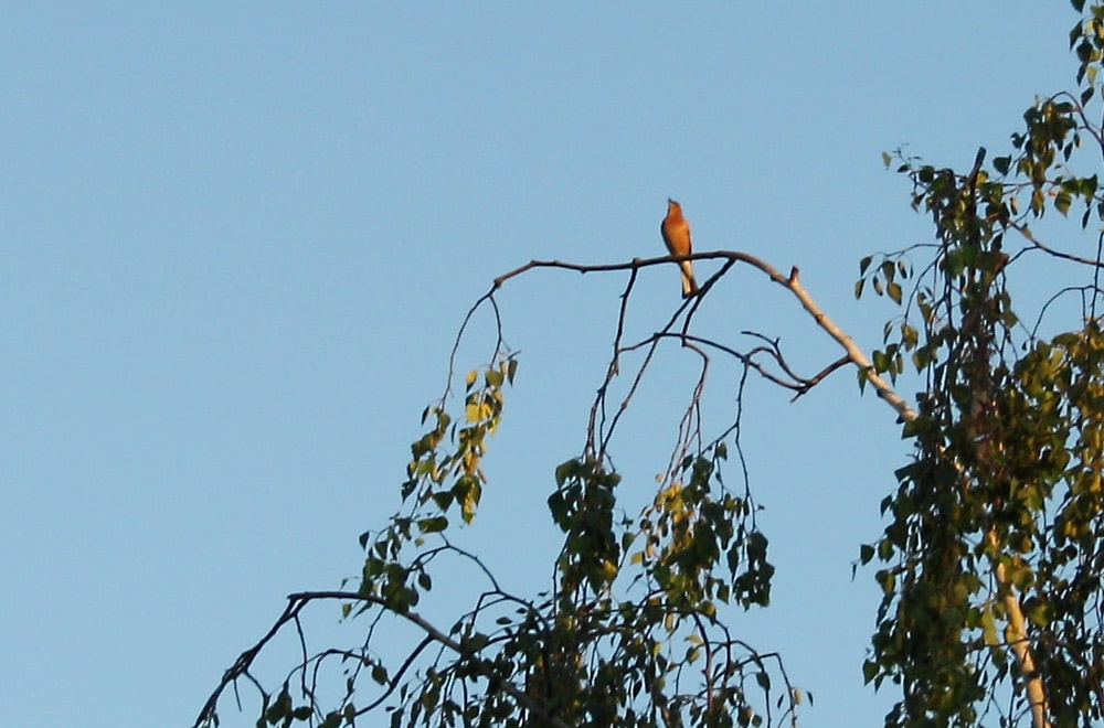 Wie sind die Aussichten? Foto: Ralf Julke