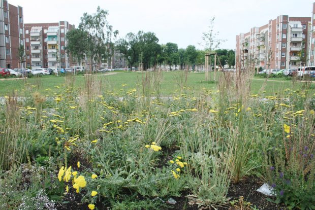 Blick in den Cäcilienpark Richtung Süden. Foto: Ralf Julke