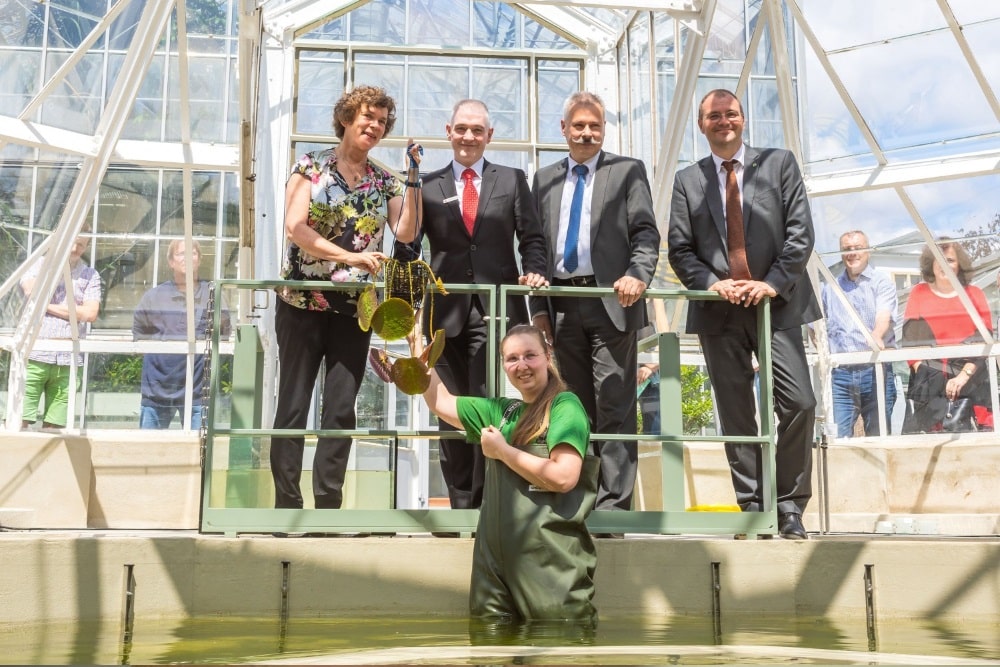 Die Rektorin der Universität Leipzig, Prof. Dr. Beate Schücking, das Vorstandsmitglied der Sparkasse Leipzig, Heinrich Brendel, Ingo Fischer vom Staatsbetrieb Sächsisches Immobilien- und Baumanagement und der Direktor des Botanischen Gartens, Prof. Dr. Christian Wirth (v.l.n.r.), pflanzten zur Eröffnung des sanierten Victoriahauses mit Hilfe von Janet Klinger, Mitarbeiterin im Botanischen Garten (vorn), eine Riesenseerose ein. Foto: Swen Reichhold / Universität Leipzig