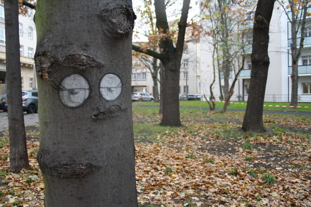 Kleine wertvolle Grünfläche an der Seeburgstraße. Foto: Ralf Julke