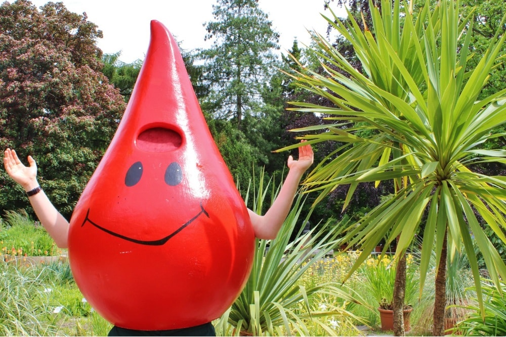 Unter Palmen: Am kommenden Freitag, 22. Juni, kann wieder Blut zu später Stunde gespendet werden. Foto: Stefan Straube/UKL