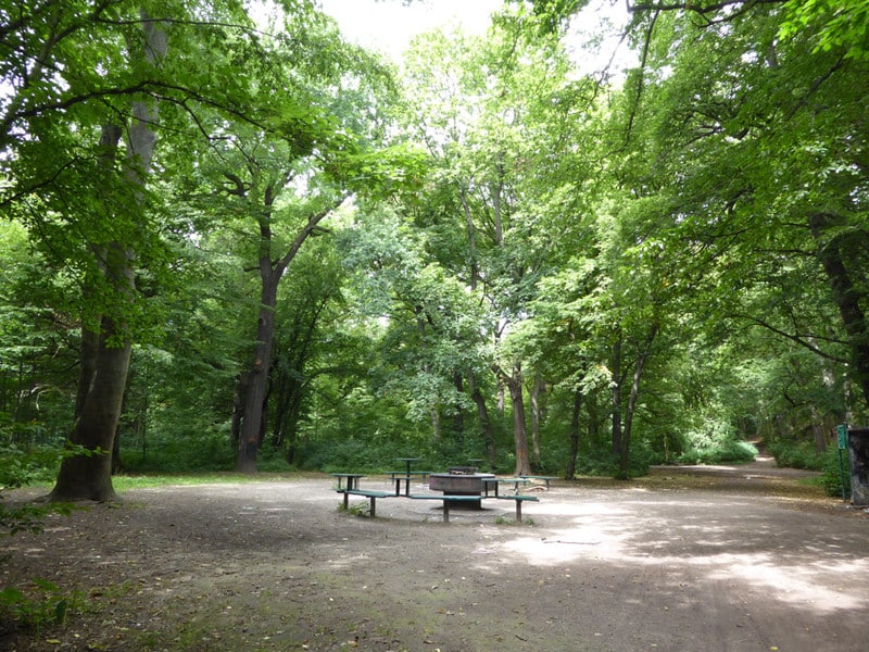 Grillplatz im Stadtwald Rosental. Foto: Stadt Leipzig/Amt für Stadtgrün und Gewässer