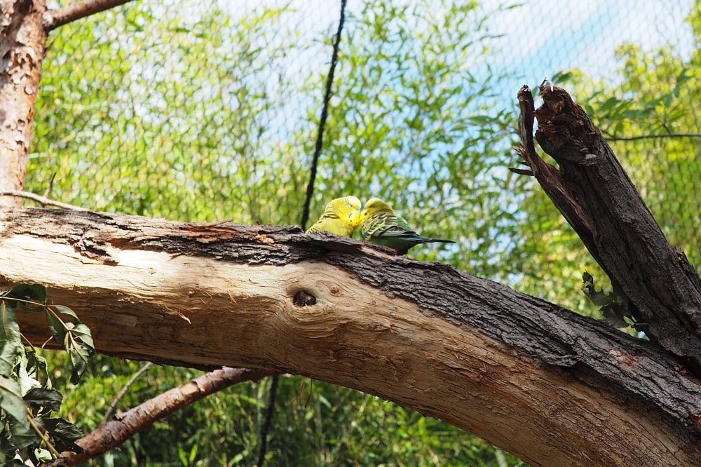 Foto: Zoo Leipzig