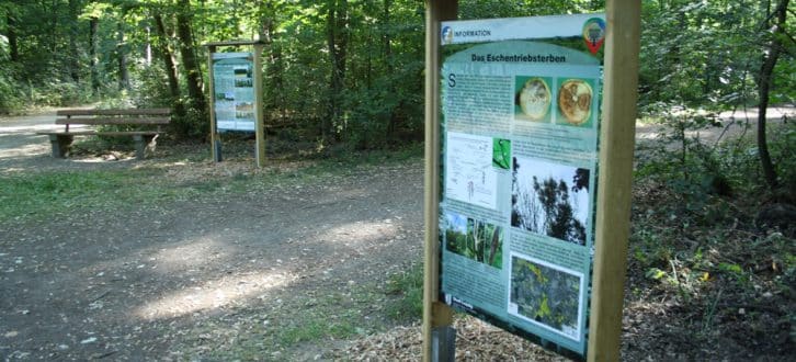 Die Info-Tafeln im Waldgebiet Nonne. Foto: Ralf Julke