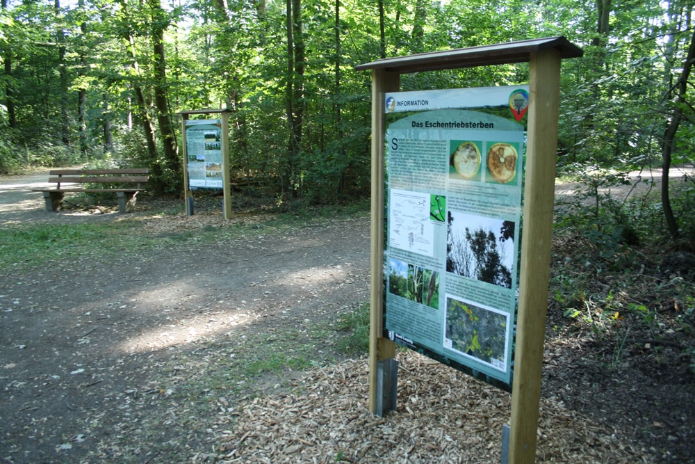 Die Info-Tafeln im Waldgebiet Nonne. Foto: Ralf Julke