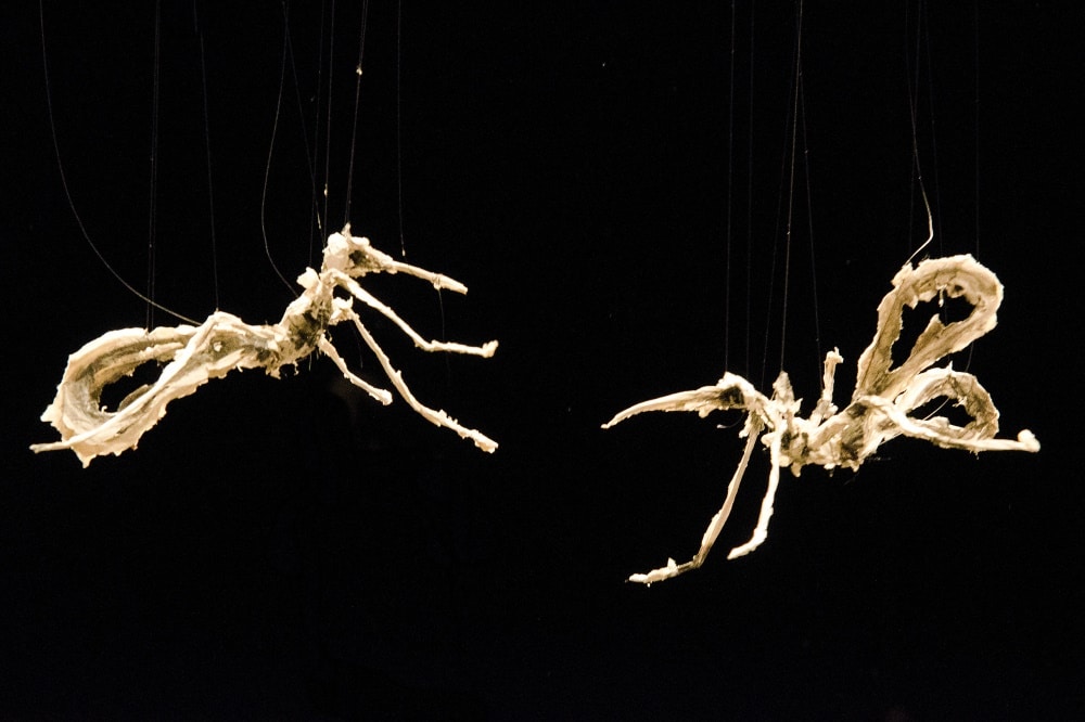 Foto: Michael Strokowski