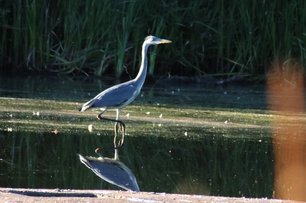 Noch Wasser da? Foto: L-IZ.de