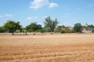 Pödelwitz - ein weiteres Dorf vor Leipzig soll der Kohle weichen. Hier findet bis zum 5. August das "Klimacamp" statt. Foto: Luca Kunze
