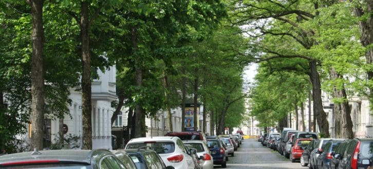Gut beschattet: die Brockhausstraße in Schleußig. Foto: Ralf Julke