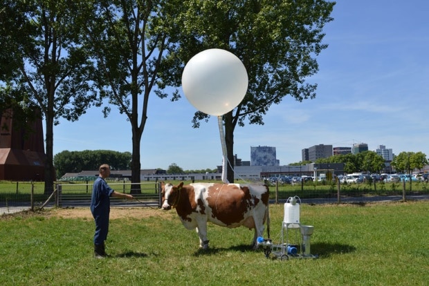 Abb.: Ottonie von Roeder & Anastasia Eggers, Cow&Co, 2017