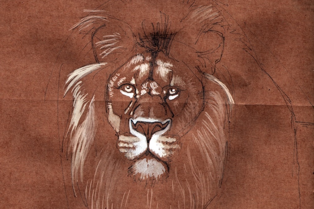 Löwe, unfertig. Bild: Konrad Masiero