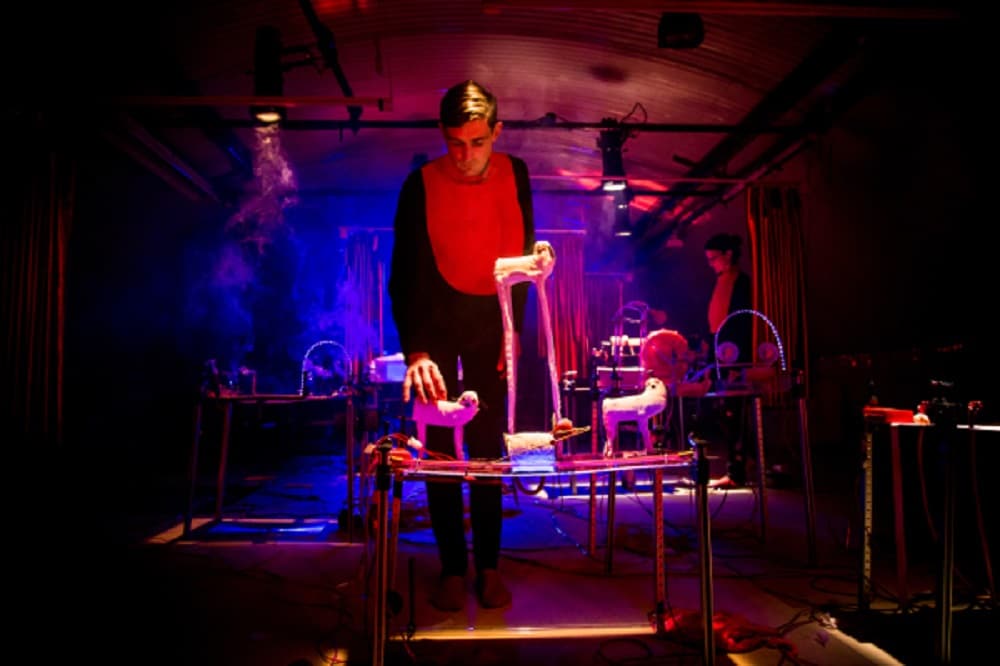 Assembly of Animals, Foto: Joyce Nicholls